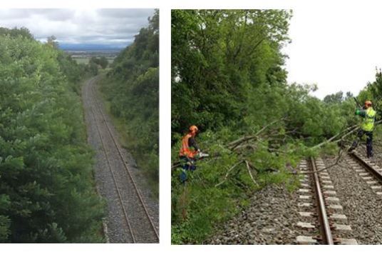 Débroussaillage réseau SNCF