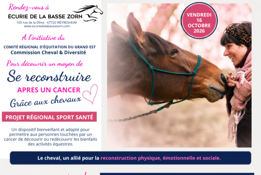 Se reconstruire après un cancer grâce aux chevaux