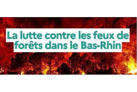 La lutte contre les feux de forêt dans le Bas-Rhin
