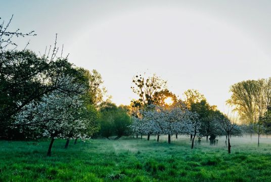 Le printemps au Verger communal